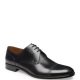 Brustel Leather Derby Shoes